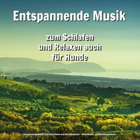 Ruhige Musik für Autogenes Training - Entspannungsmusik zum Einschlafen und Durchschlafen & Schlafmusik & Entspannungsmusik