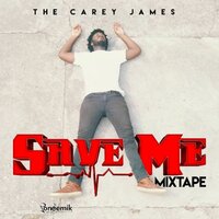 Fake Family - The Carey James
