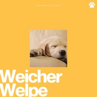 Pier's Profound Pits - Beruhigende Musik für Hunde