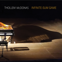 Into the When - Thollem McDonas