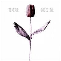 These Fevered Days - Tenedle