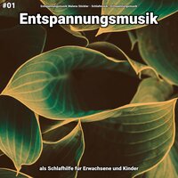 Entspannungsmusik pt. 54 - Entspannungsmusik Malena Stickler & Schlafmusik & Entspannungsmusik
