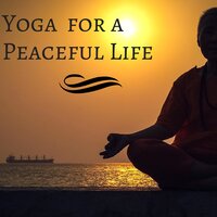 Rainforest Stream and Tropical River for Inner Peace and Yoga Relaxation - Direction Relax