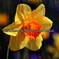 Естественная жизнь - Sounds of Nature White Noise for Mindfulness Meditation and Relaxation