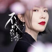 不成敬意 - 花僮