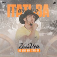 Ja Ganhou - Zé da Vea