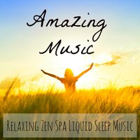 Amazing Music - The Classics & Фридерик Шопен