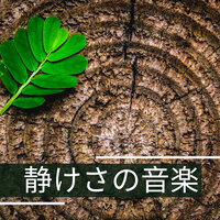 赤ちゃん子守唄 - 座禅
