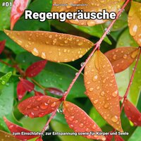 Regengeräusche, pt. 39 - Regen Sounds & Regengeräusche