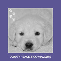 Cuddle Time Ambient Song - Relaxing Dog Music