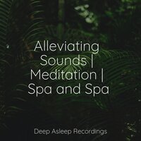 Bliss - Relax Meditation Sleep & Ambient Forest & Reiki Tribe