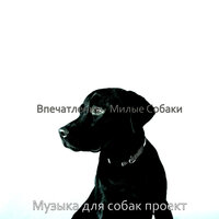 Моменты (Собаки) - Музыка для собак проект