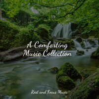 Peace & Mindfulness - Preschool Kids & Sleep Music & Powerthoughts Meditation Club