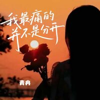 我最痛的并不是分开 - 青冉