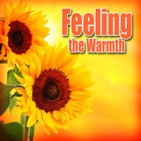 Walking on the Shore with the Sound of Rhythmic Healing Waves - Nature Sounds Nature Music