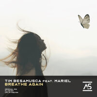 Breathe Again - Tim Besamusca