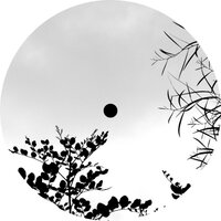 Insight - nikosf.