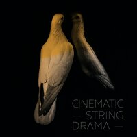Beguiling Mind - Pete Harrison & London Studio Orchestra
