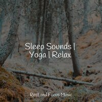 Soft Echoes - Guided Meditation Music Zone & Zen Meditate & Kinderlieder-Superstar