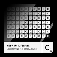 Understand It - Andy Bach & Forteba