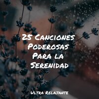Ángeles En El Cielo - Musica para Dormir Dream House & Canciones De Cuna Para Dormir Bebes & Sons da Natureza