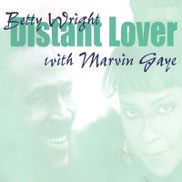 Sexual Healing - Marvin Gaye