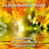 Einfach am Abend - Entspannungsmusik & Schlafmusik & Entspannungsmusik Abteilung