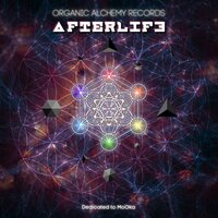 Jupiter Swamp - Farebi Jalebi