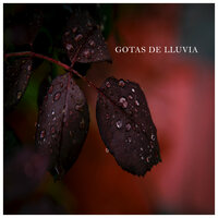 Gotas de Lluvia, Pt. 48 - Sonidos de tormenta y lluvia fuerte & Música Instrumental Maestro & Sonidos De Agua
