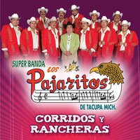 La Merma Del Traficante - Los Pajaritos De Tacupa