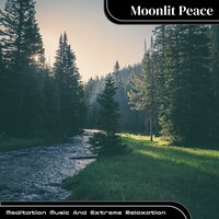 Soothing Moments Amid Silence - Moonlit Peace