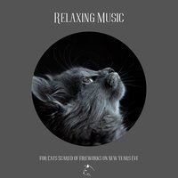 Full of Energy - Music For Cats Peace & Music for Cats Project & Relax Your Cat