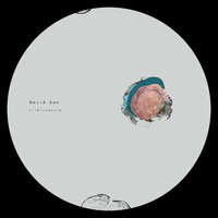 iridiscencia - David San