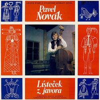 Lístečku z javora - Pavel Novak & Moravian Folk Song & Cimbálová muzika Javorník & Pavel Navrátil