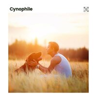 Comity - RelaxMyDog