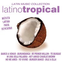 Burundanga - The Tropical Coconuts