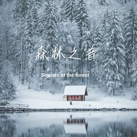 夏夜的萤火虫 - 弦外音