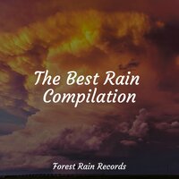 Rain, Storm and Thunder - Schlaflieder Relax & Rain Forest FX & Massage Therapy Music