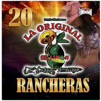 Pa' Que Me Sirve la Vida - La Original Banda El Limón de Salvador Lizárraga