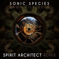 Dawn Till Dusk - Sonic Species