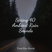 Ocean Waves and Seagulls Overhead - Relaxing Sleep Sound & Yoga Sounds & Nature Sounds Collection