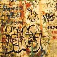 Surely, They'll Tear It Down - Shannon Wright