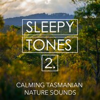 Calming Tasmanian Nature Sounds, Pt. 19 - Jason Rivers