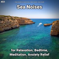 Sea Noises Part 14 - Ocean Sounds by Viviana Fernsby & Nature Sounds & Ocean Sounds