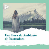 Pájaros y la brisa - Relajación: Por Rosa & Música Zen Relaxante