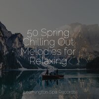 Soft Chords - Bath Spa Relaxing Music Zone & Pink Noise & Sleep Lullabies for Newborn