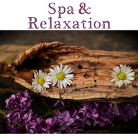 Stress Relief - Spa, Relaxation and Dreams