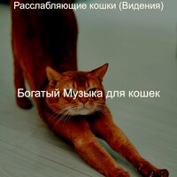 Мечты (Кошки) - Богатый Музыка для кошек