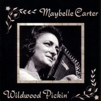 Bully Of The Town - Autoharp Workshop & Mike Seeger