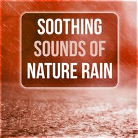 Soothing Sounds of Nature Rain - Natural Healing Music Zone